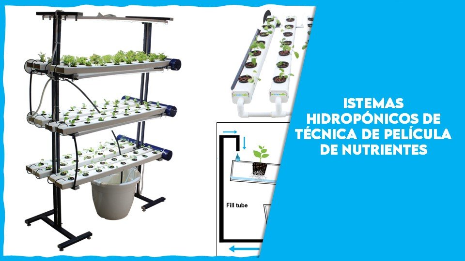 istemas Hidropónicos de Técnica de Película de Nutrientes